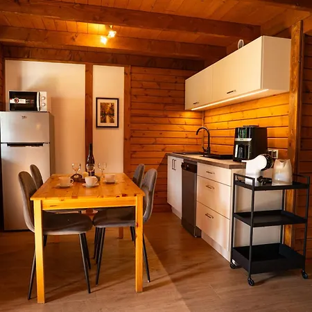 Pod Jarzebina Lodge Puck