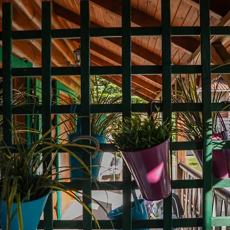 Lodge Pod Jarzebina